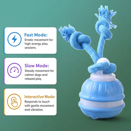 Smart Interactive Rope Dog Toy – Automatic Moving & Tugging Fun