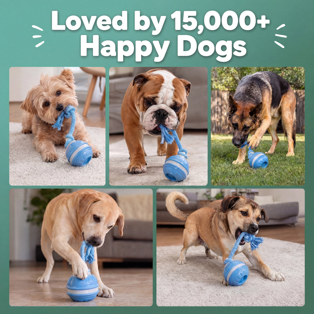 Smart Interactive Rope Dog Toy – Automatic Moving & Tugging Fun
